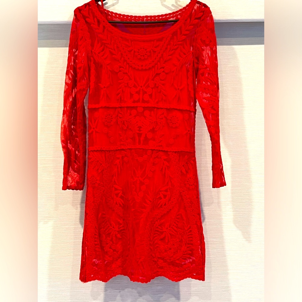 Express long sleeve lace dress